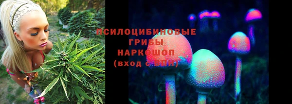 бошки Нефтегорск
