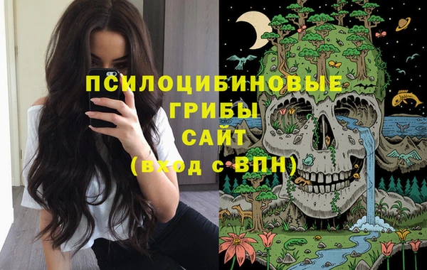 соль ск Навашино