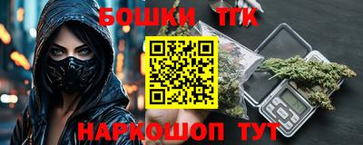 СК Дубна