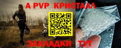 СК Дубна