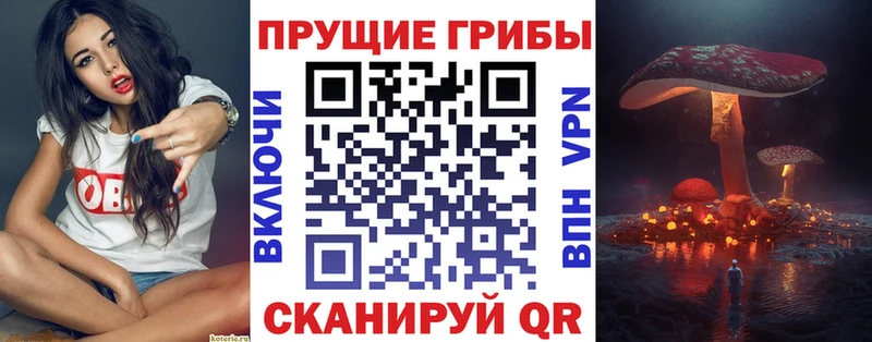наркота  Кирово-Чепецк  ОМГ ОМГ зеркало  Псилоцибиновые грибы GOLDEN TEACHER 