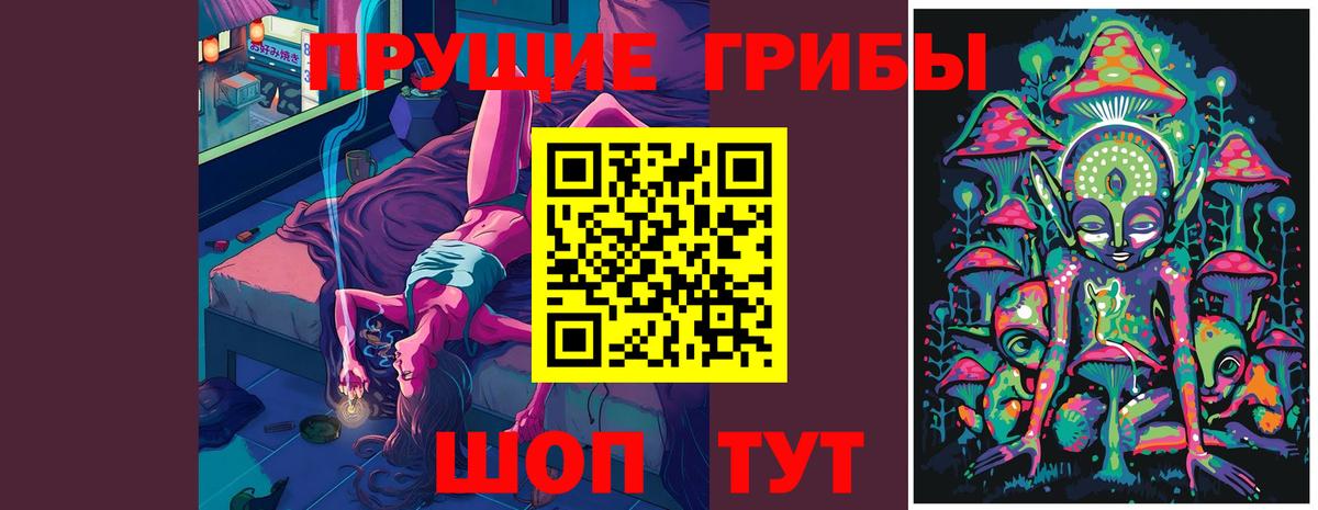 Кирово-Чепецк  Галлюциногенные грибы MAGIC MUSHROOMS  Вход с VPN 